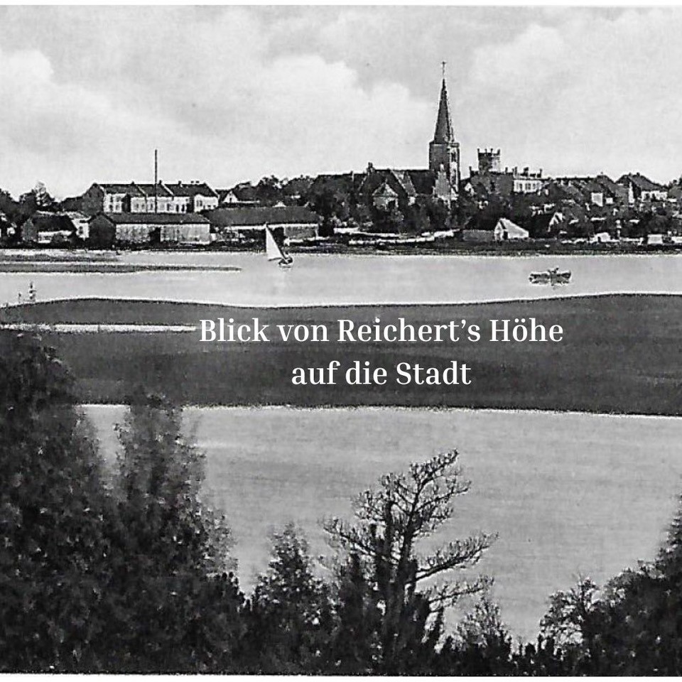 Mein Blick auf die Geschichte meiner Vorfahren Hoerbuch